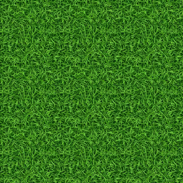 Grass